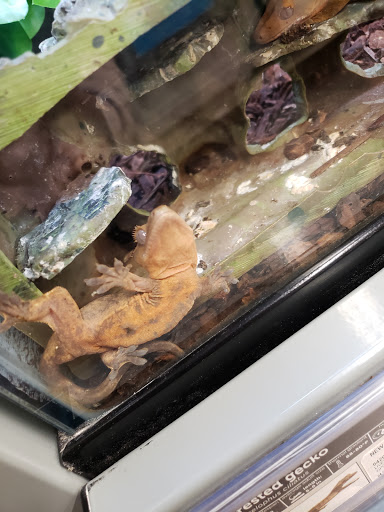 Pet Supply Store «Petco Animal Supplies», reviews and photos, 5994 Montana Ave, El Paso, TX 79925, USA