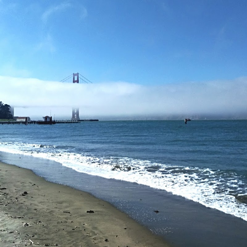 Crissy Field