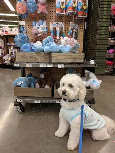 Pet Supply Store «Petco Animal Supplies», reviews and photos, 6557 N Riverside Dr, Fresno, CA 93722, USA