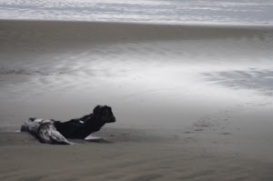 Yaquina Art Association - photo 11