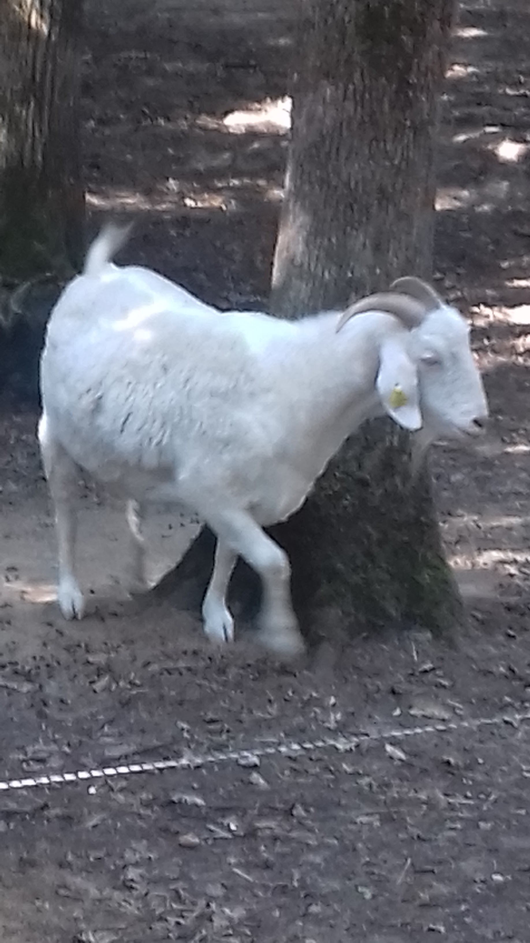 Photo n° 27 de l'avis de Laurent.o fait le 20/08/2018 à 10:25
