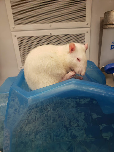 Pet Supply Store «Petco Animal Supplies», reviews and photos, 5601 Brodie Ln, Sunset Valley, TX 78745, USA