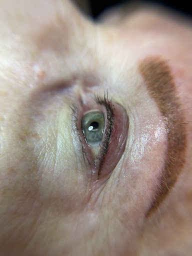 Explore tattoo cover ideas, creative tattoo ideas in Peoria Heights, available at BeautiFULL Brows By Jen Microblading - Permanent Makeup Wild Honey Beauty Studio