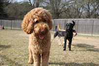 The Paw Spot Pet Resort - Photo 8 - Car repair in Tyler, TX, Tyler