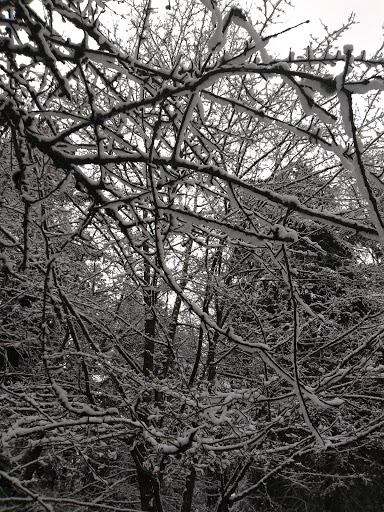 Park «Northacres Park», reviews and photos, 12718 1st Ave NE, Seattle, WA 98125, USA