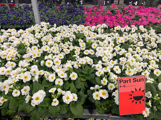 Home Improvement Store «The Home Depot», reviews and photos, 43900 Ice House Terrace, Fremont, CA 94538, USA