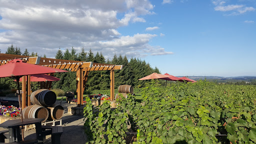 Winery «Ardiri Winery & Vineyards», reviews and photos, 35040 Southwest Unger Road, Cornelius, OR 97113, USA