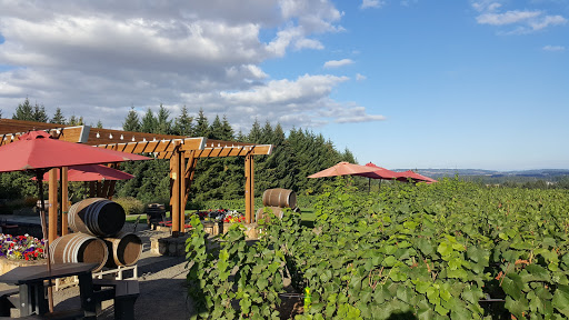 Winery «Ardiri Winery & Vineyards», reviews and photos, 35040 Southwest Unger Road, Cornelius, OR 97113, USA