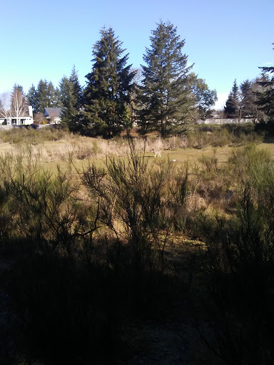 Golf Course «Fort Steilacoom Golf Course», reviews and photos, 8202 87th Ave SW, Lakewood, WA 98499, USA