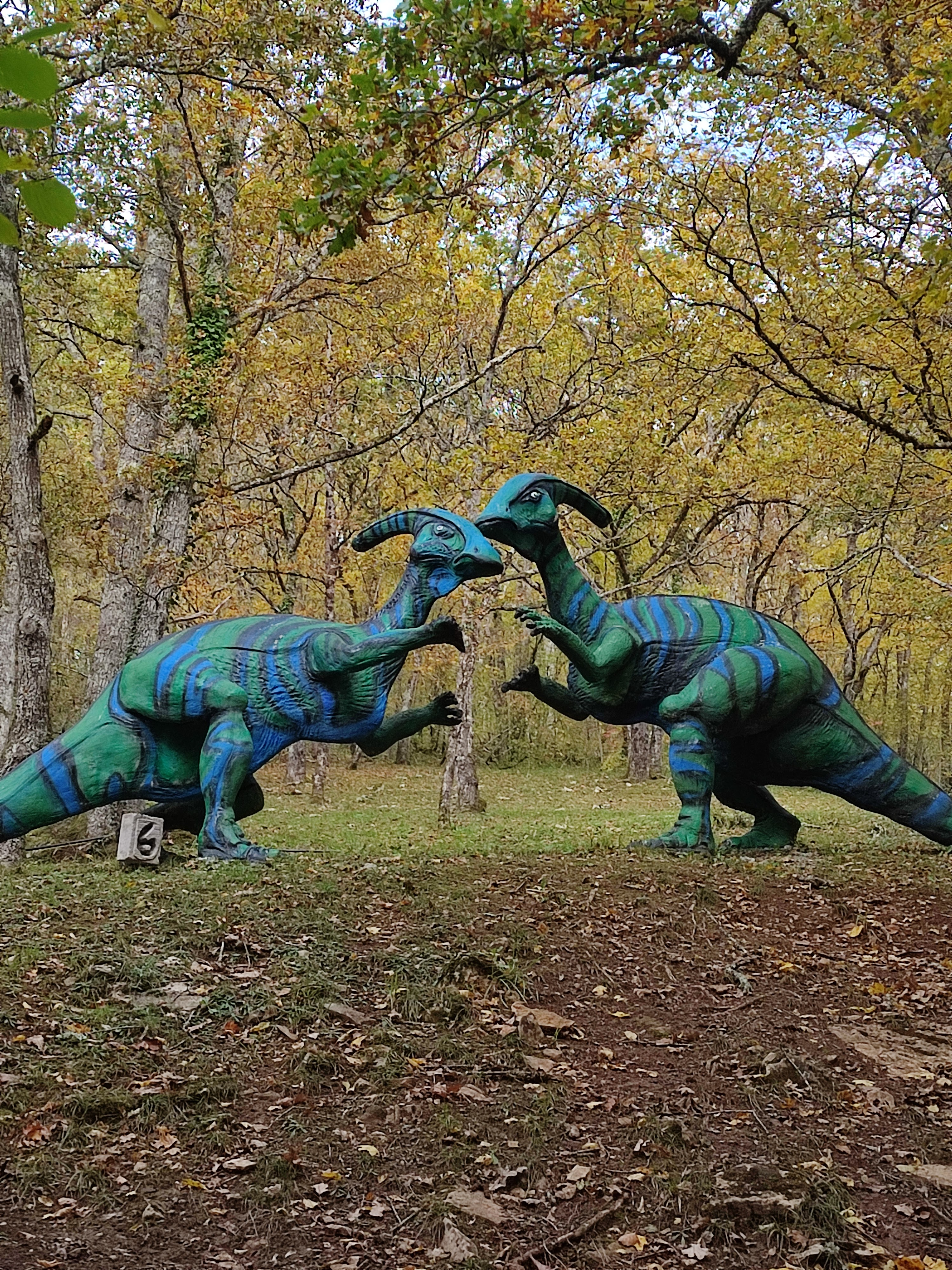 Photo n° 7 de l'avis de Anna.e fait le 05/11/2021 à 20:07