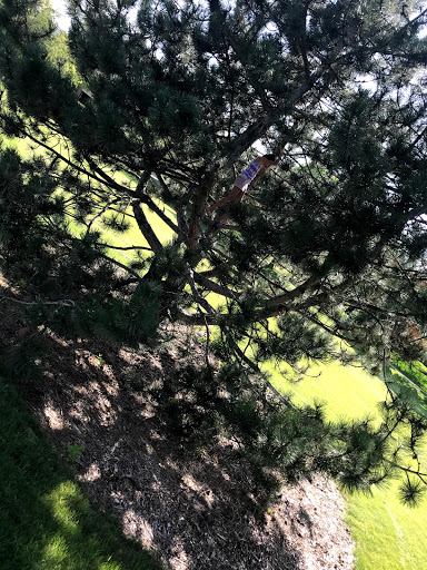 Park «Prestemon Park», reviews and photos, 3900 NE McKinley St, Columbia Heights, MN 55421, USA