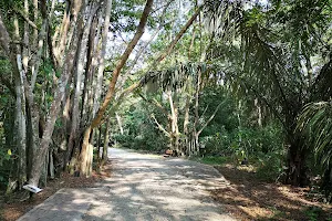 Taman Alam Kuala Selangor image