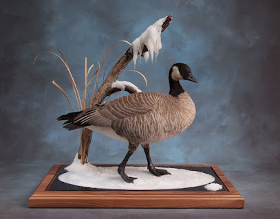 Showpiece Taxidermy