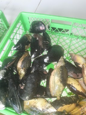 Pescaderia Y Marisqueria Yuli
