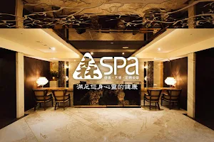 Forest Spa image