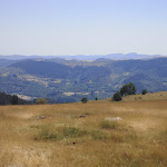 Photo n° 4 de l'avis de corinne.u fait le 25/07/2022 à 19:52 pour Les Ânes d'Artémis à Albon-d'Ardèche
