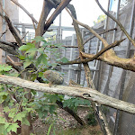 Photo n° 26 de l'avis de Steven.N fait le 20/09/2022 à 07:01 pour Zoo Thoiry à Thoiry