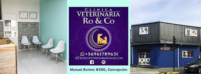 Clínica Veterinaria Ro & Co - Veterinario