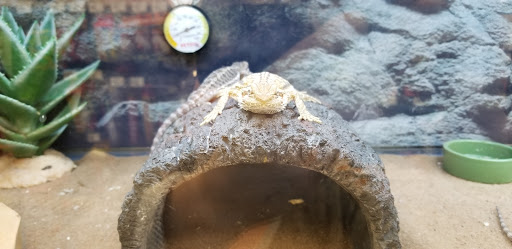 Pet Supply Store «Petco Animal Supplies», reviews and photos, 12638 Capital Blvd, Wake Forest, NC 27587, USA