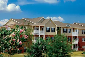 The Vineyard of Olive Branch Apartment Homes image