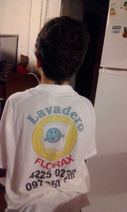 Lavadero Florax