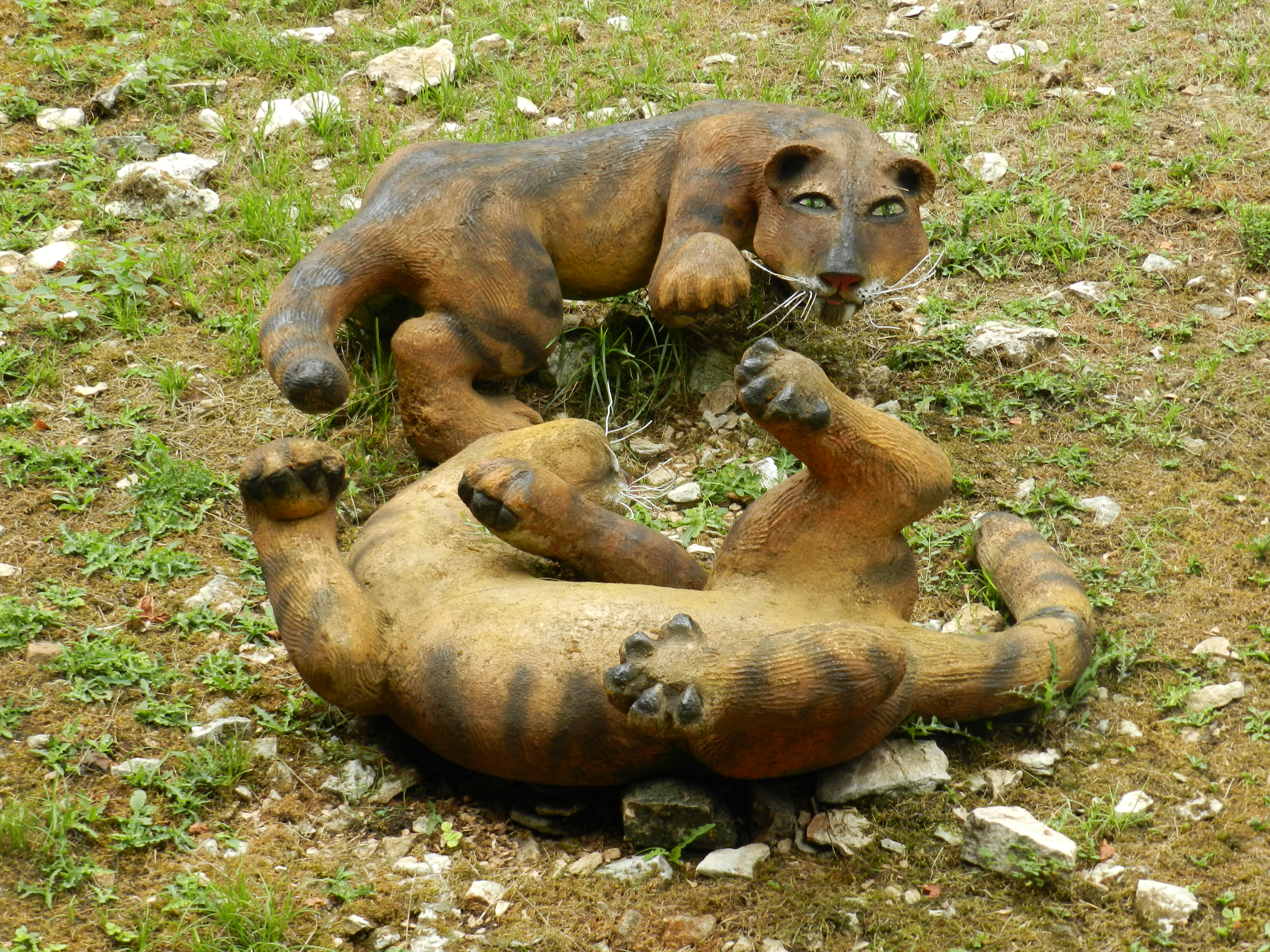 Photo n° 7 de l'avis de Jays. fait le 17/04/2019 à 06:40