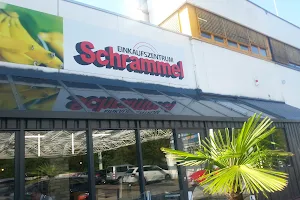 HIT mall Schrammel image