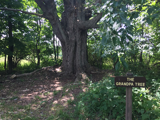Nature Preserve «Beaver Meadow Audubon Center», reviews and photos, 1610 Welch Rd, Java Center, NY 14082, USA
