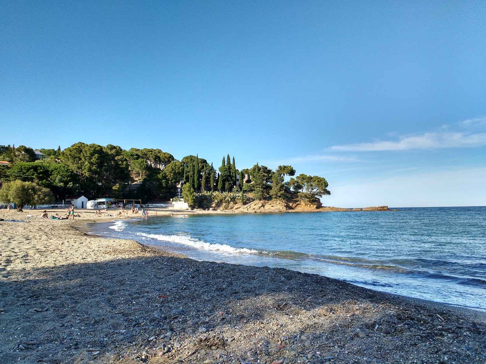 Photo of Platja de Grifeu with green pure water surface