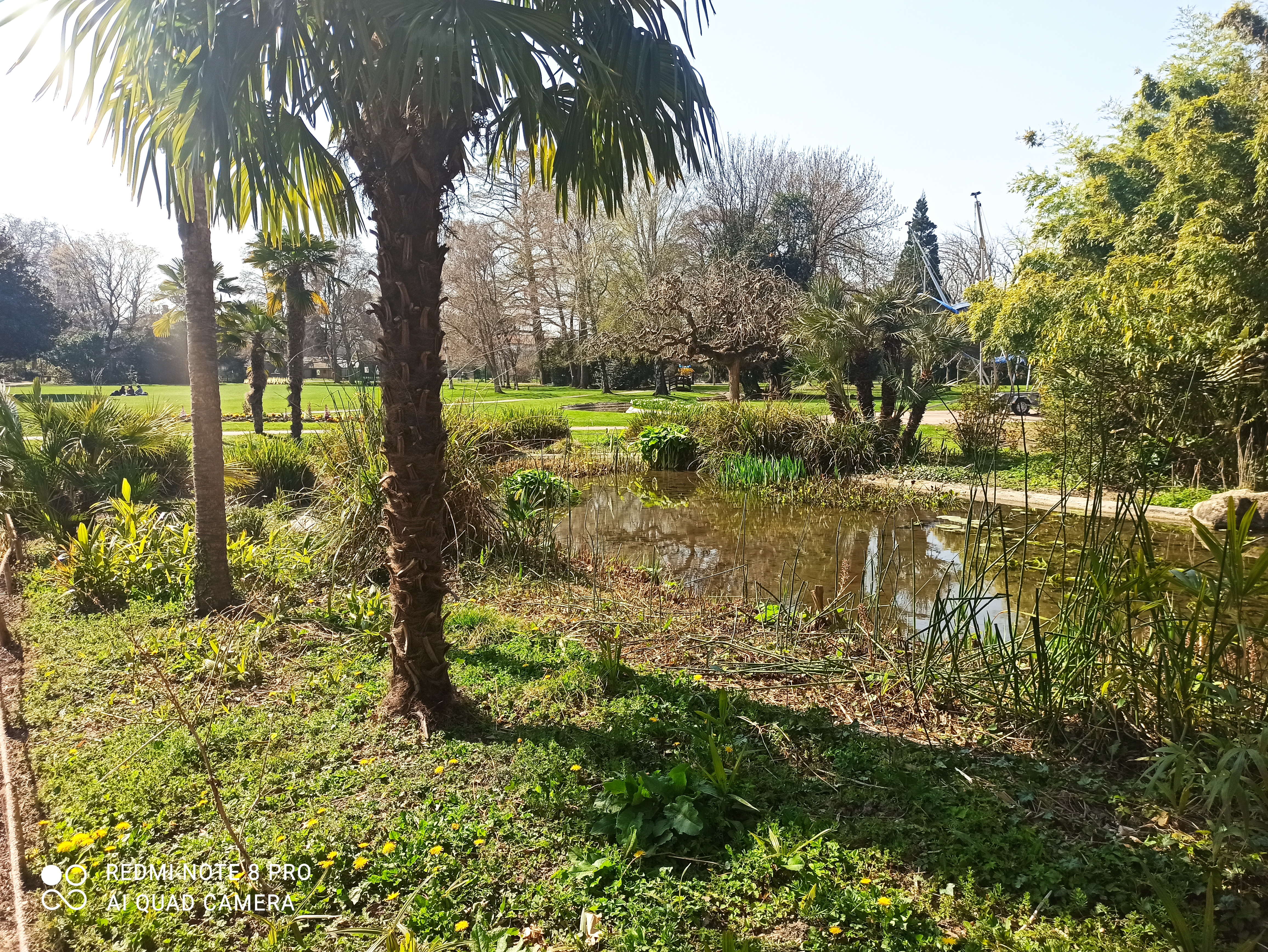 Photo n° 4 de l'avis de Frédéric.a fait le 23/03/2022 à 19:07