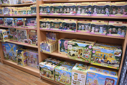 Toy Store «Brilliant Sky Toys & Books», reviews and photos, 1705 Mallory Ln #100, Brentwood, TN 37027, USA
