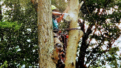 Climb & Cut Quality Tree Services LLC