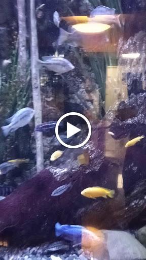 Tennis Club «Westside Tennis & Fitness», reviews and photos, 1200 Wilcrest Dr, Houston, TX 77042, USA