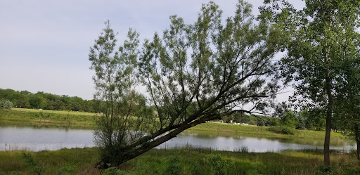 Park «Springfield Park», reviews and photos, 269 Springfield Dr, Bloomingdale, IL 60108, USA