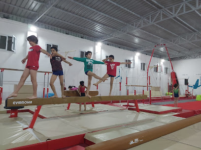 Alex Gymnastics Center - A.G.C