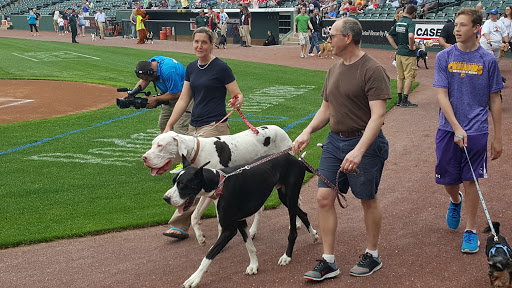 Baseball Field «Clipper Magazine Stadium», reviews and photos, 650 N Prince St, Lancaster, PA 17603, USA