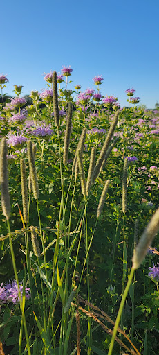 Nature Preserve «Hoover Forest Preserve», reviews and photos, 11285 W Fox Rd, Yorkville, IL 60560, USA
