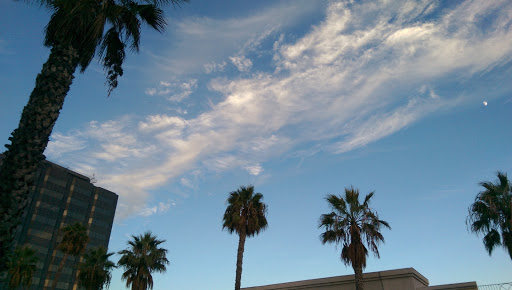 Sporting Goods Store «Big 5 Sporting Goods», reviews and photos, 3121 Wilshire Blvd, Santa Monica, CA 90403, USA