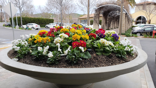 Furniture Store «Cost Plus World Market», reviews and photos, 2910 Tapo Canyon Rd, Simi Valley, CA 93063, USA