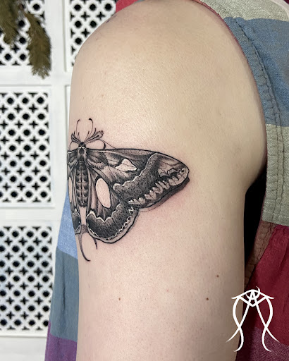 Explore lion of judah tattoo ideas, creative tattoo ideas in Scipio Center, available at Ace of Wands Private Tattoo & Tarot Studio . Appointment Only