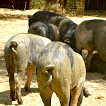 Photo n°2 de l'avis de Anna. fait le 25/07/2023 à 16:34 sur le  Fattoria Madonna della Querce à Montepulciano