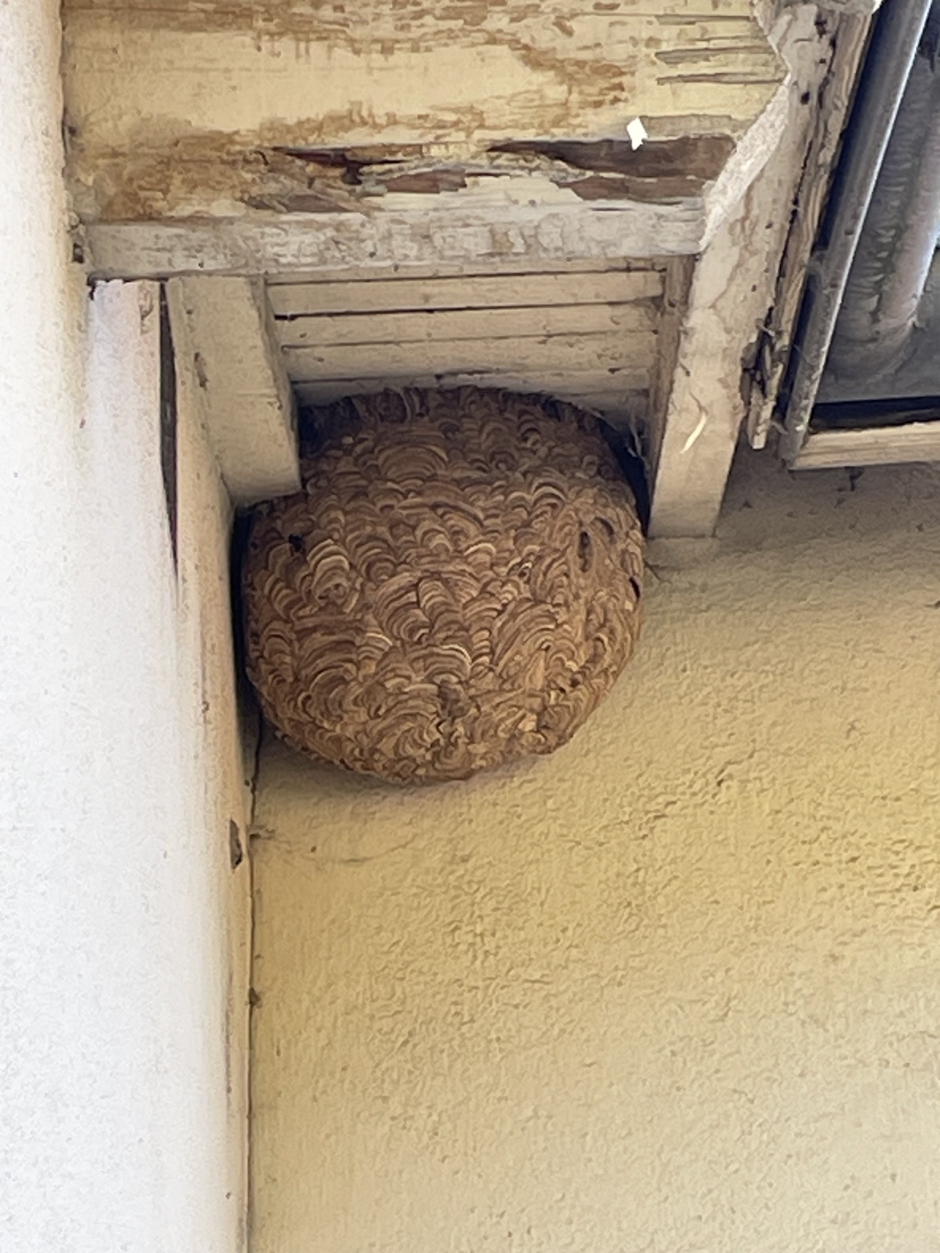 Photo n° 1 de l'avis de Mabre.r fait le 11/11/2023 à 11:09