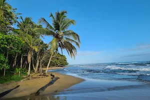 Playa Chiquita image