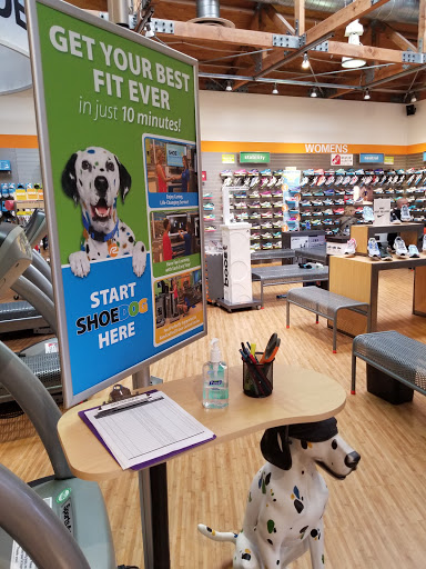 Running Store «Road Runner Sports», reviews and photos, 12200 Northup Way, Bellevue, WA 98005, USA