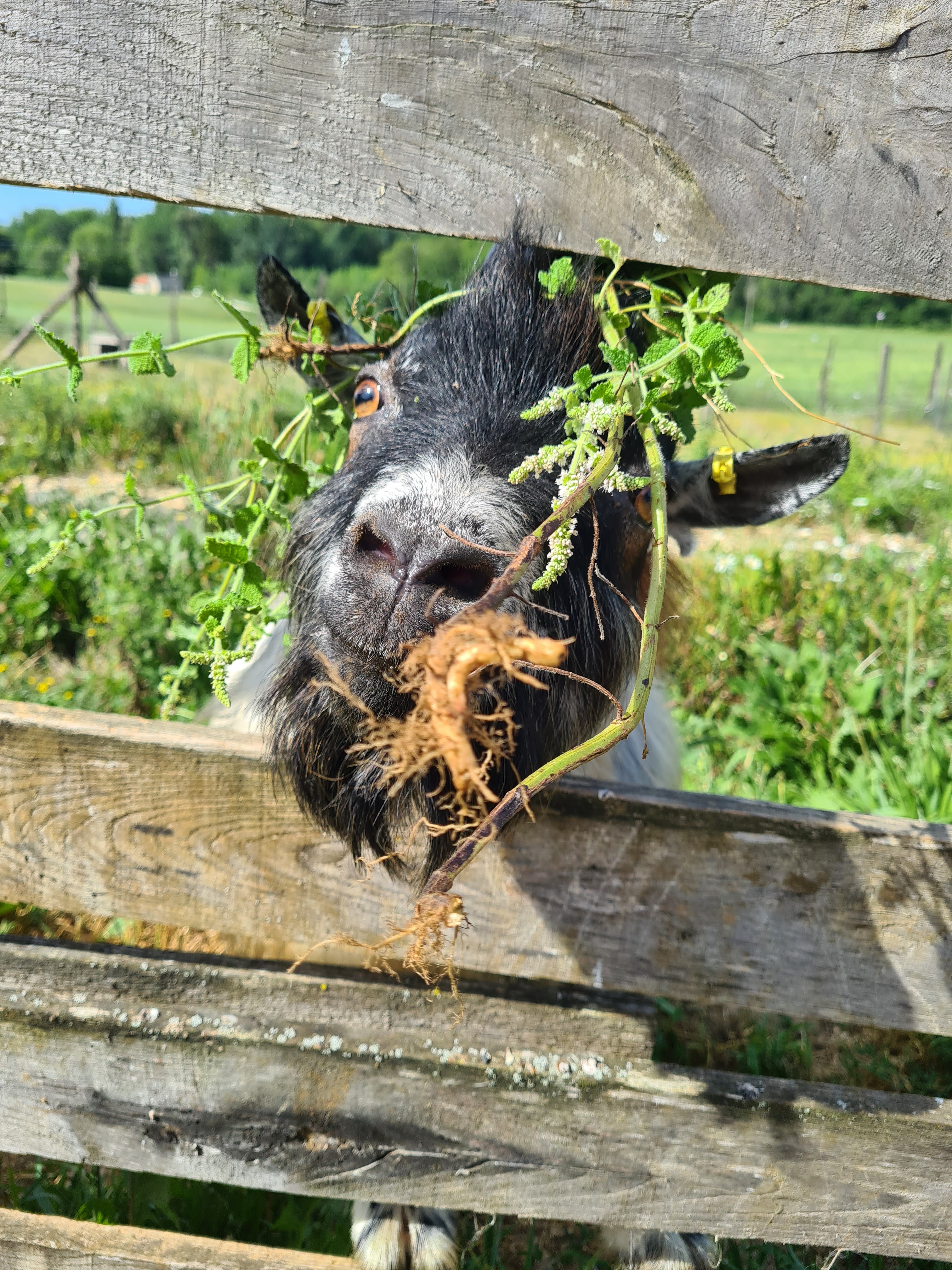 Photo n° 1 de l'avis de Emilie.a fait le 20/07/2022 à 18:57