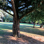 Photo n°5 de l'avis de Caroline.i fait le 02/08/2021 à 19:21 sur le  Villa Scati à Melazzo