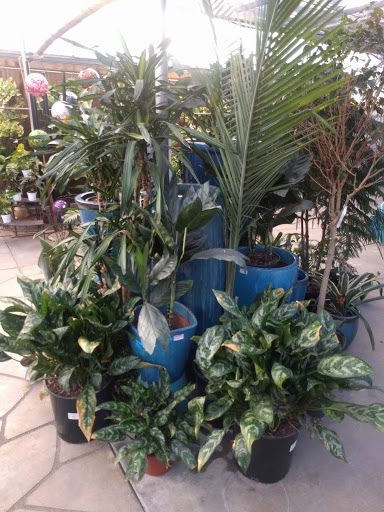 Griggs Nursery image