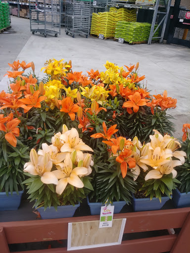 Home Improvement Store «The Home Depot», reviews and photos, 3300 SW 35th Terrace, Ocala, FL 34474, USA