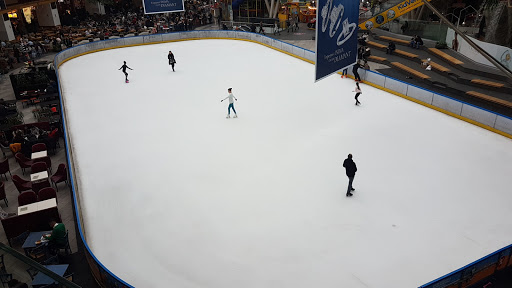 Cotroceni on Ice