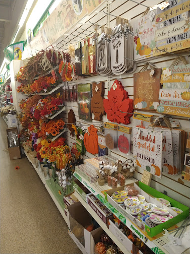 Dollar Store «Dollar Tree», reviews and photos, 1535 University Blvd E #F, Hyattsville, MD 20783, USA